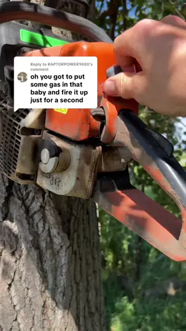 Replying to @RAPTORPOWER9000 #stihl #chainsaw ##treeservice #trees #fypシ 