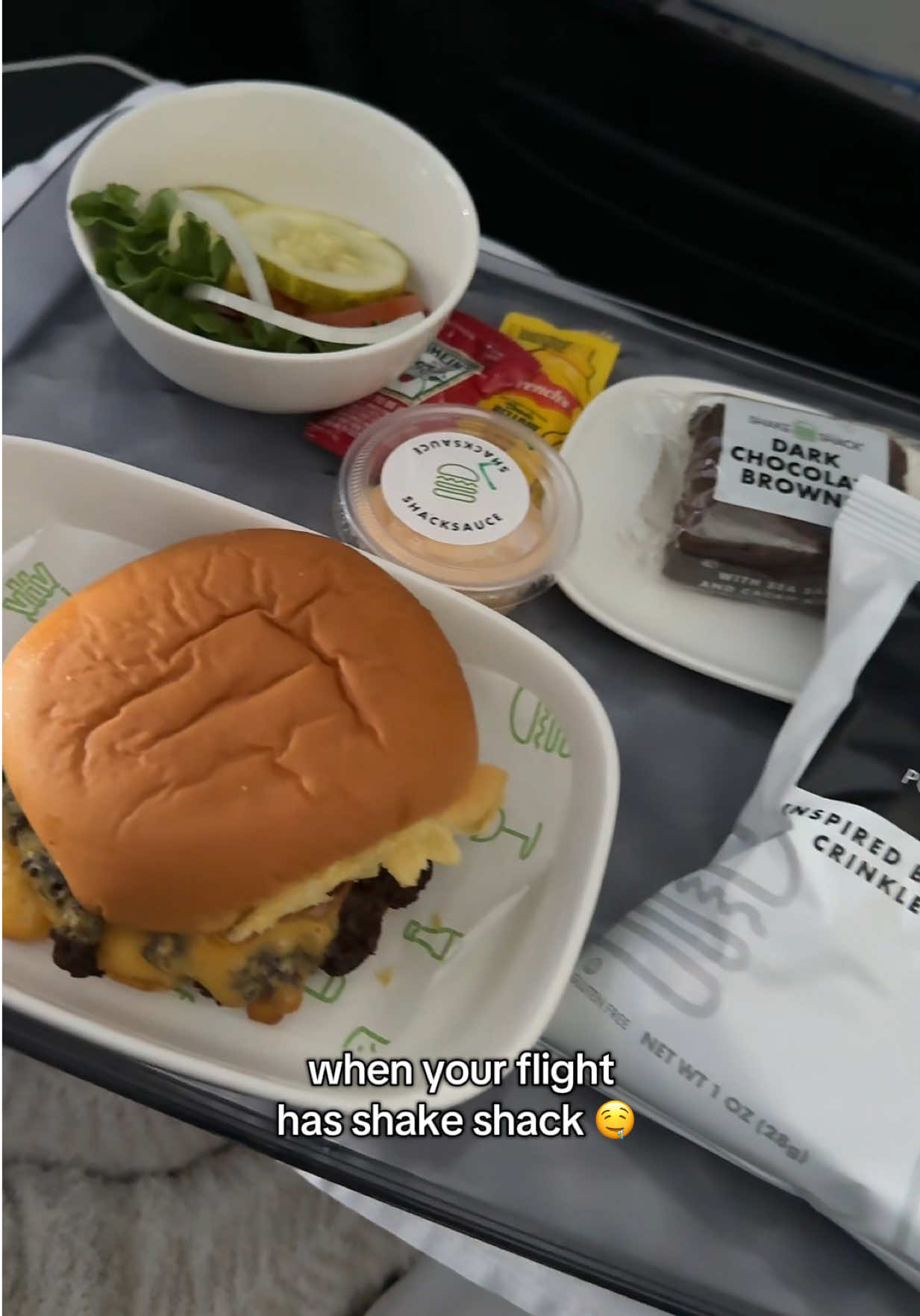 Ngl mad the “fries” were potato chips but the burger ATE. & so did I 😚 @SHAKE SHACK #delta #review 