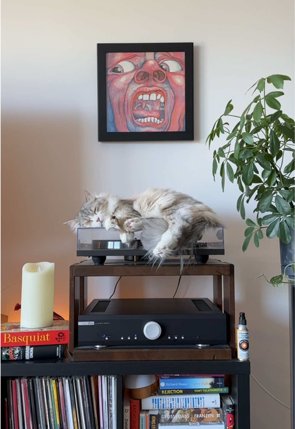 King Crimson • In the Court of the Crimson King #vinyl #vinylupdate #kingcrimson #kingcrimsonvinyl #vinylcollection 