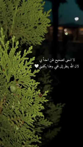 #🌹بنت_حلب #hala_biye 