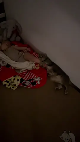 Mẹ cháu muốn lan toả sự dễ thương này anh Lượm mê em Voi @Voi Vui Vẻ  lắm rồi ạ🥰  #Cat #meo #luomcatfamily #luomcatshop#luomcat   
