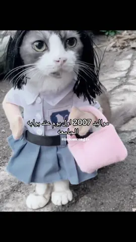 #foryou #مستجدات #جامعه #explore #الشعب_الصيني_ماله_حل😂😂 