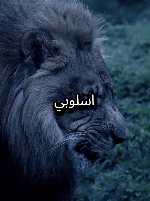أسلوبي لا يعجبك تجاهلني  كلامي لا يعجبك لا تكلمني  #المواقف #عبارات #اقتباسات_عبارات_خواطر #خواطر #explore 