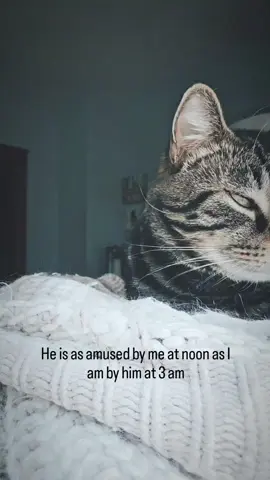 Shit Head 😏