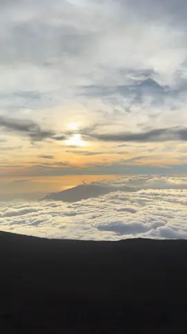 #hawaii #abovetheclouds #sunset    