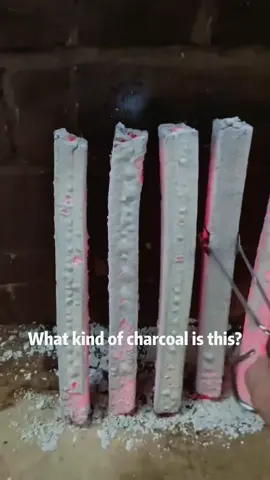 I had no idea there were so many types of charcoal.so amazing #science #charcoal 