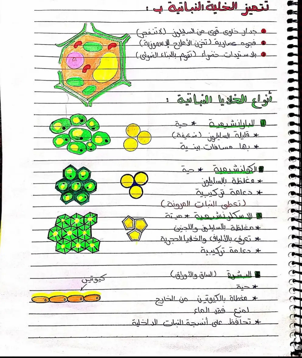 #ثانوية_عامة #fyp #foryou #احياء #viral 