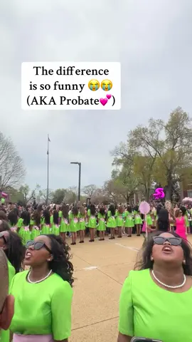 Pretty. Powerful. Pink & Green. 💕💚 Caught this moment from @hbcufunctions and had to bring it back to the feed. #Repost #BlackGreeks #ConnectTheConnected #DivineNine #StepShow #HBCU #D9