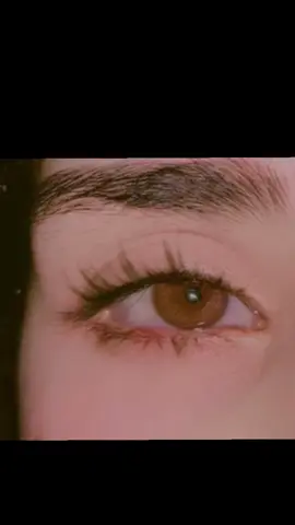 Brown eyes🫶🏻 #eyesvideo #aestheticeyes #aestheticvideos #foryou #fypシ゚ 