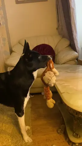 Barney is happy that the woman stands up to Kong#kingkong #react #reaction 