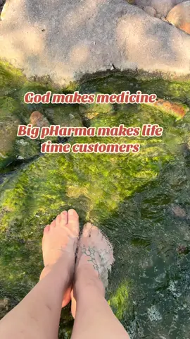 God provided every single thing on this planet that we need to heal. Plants, minerals, light, water, movement, breath…Every piece of creation was designed to support the body’s ability to repair and restore itself. But here’s the reality… 	•	Pharma doesn’t make money when you use what God already gave us. 	•	So they recreate it in a lab, strip it of life, patent it, and sell it back to you. 	•	And while you’re managing symptoms, the root cause keeps growing. Think about it: ✔️ Your body isn’t broken — it’s depleted. ✔️ Your symptoms aren’t random — they’re signals. ✔️ Healing isn’t outside of you — it’s built into you. When you partner with nature instead of fighting against it, your body knows exactly what to do. Healing doesn’t have to be complicated. It has to be aligned with how you were designed.  Ready to stop managing symptoms and start actually healing?
