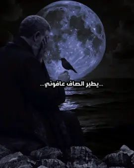 يطير الصاف عافوني #باسم_الكربلائي #باسم_الكربلائي_رادود_ما_له_مثيل #باسم_الكربلائي_خادم_لن_يتكرر #باسم_الكربلائي_عشق_لا_ينتهي #باسم_الكربلائي 