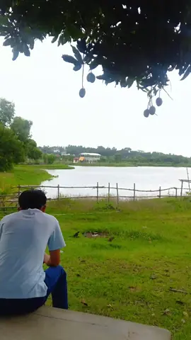 lagu nyah 🤍