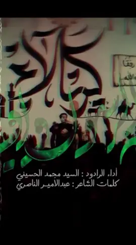 #سيد_محمد_الحسيني  #عظم_الله_اجورنا_واجوركم_بهذا_المصاب  #اكسبلورexplore 