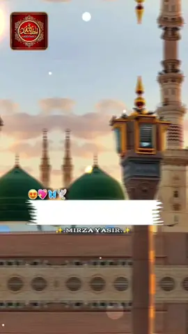 ✨آیا سوہنڑاں ﷺ دھوماں پے گئی یاں🌙✨ #islamic_video #rabiulawal #trending #foryoupage #tiktokpakistan 