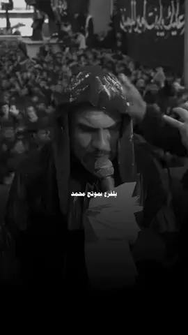 يلفرع بموتج محمد💔#حسين_والي_اللامي #ستوريات_حسينيه 