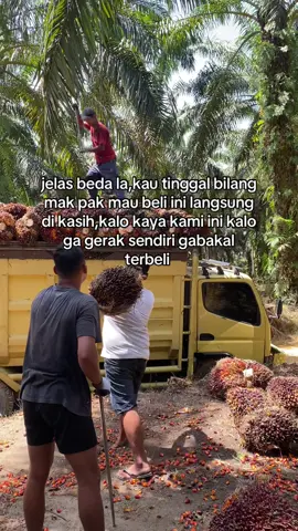 #fyp #sawitontiktok #fypppppppppppppp #sawitriau #foryou 