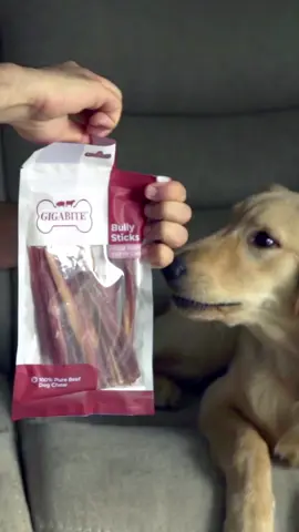 Slow down, savor the moment, and yes—grab that treat.😋 . . . #treats #dogs #dogtreat #bestpet