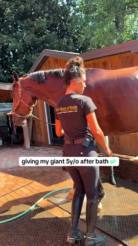 he was a dirty man  #fyp #horse #horsetok #fypシ゚viral #fyppppppppppppppppppppppp 