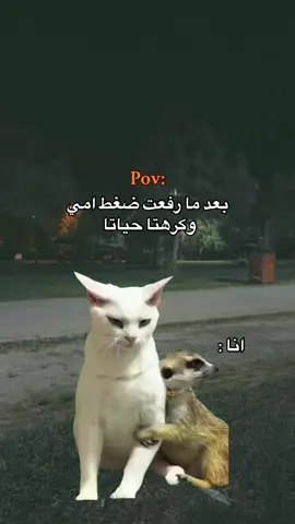 اميييي ثم اميي 😂😂😂❤️#fyp #اكسبلورexplore #حالات_واتس #محظورة_من_كلشي😫💔 #محظورة_مشاهدات 