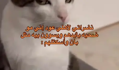 نضراتك تحرجنيي😭😂#like #pov #paratiiiiiiiiiiiiiiiiiiiiiiiiiiiiiii #اكسبلور #هيثم_يوسف 