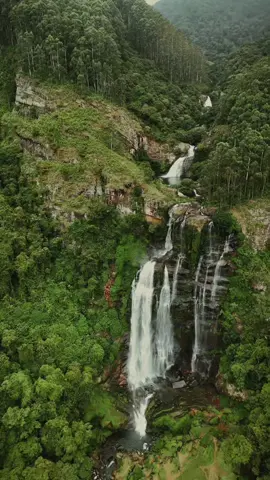 Sri Lanka’s hidden giant 🌍💚 Quick tip: 30–40 min hike, head out before 7.30 am to avoid the crowd! [srilanka waterfalls, nuwareliya, hidden waterfall, beautifull waterfall, drone view, dji mini 4 pro] #creatorsearchinsights 
