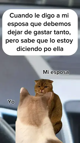#CapCut #paratiiiiiiiiiiiiiiiiiiiiiiiiiiiiiii #fypシ 