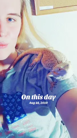 Miss my lizard! One of my favorite TikTok’s of all time! #onthisday #lizard #PetsOfTikTok #beardeddragon #fypシ 