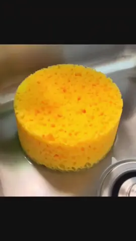 Quick morning squeeze with one of my favorite sponges from @Faithcreations  Looking forward to making more content tonight after a product haul 😃 Stay tuned for more 🧽 🧼 🚿 🫧  #asmrspongesqueezing #cleantokasmr #spongesqueezing #oddlysatisfying #CleanTok 
