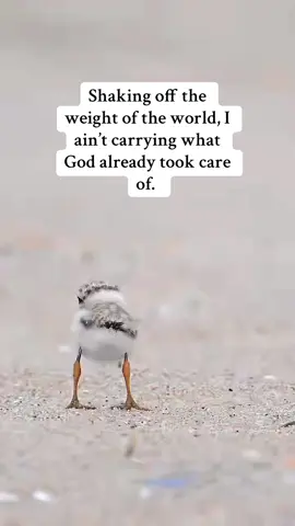 ✨I’m not carrying what God already took care of. ✨ #forgiven #jesusismyanchor #blessed #jesushandledit 