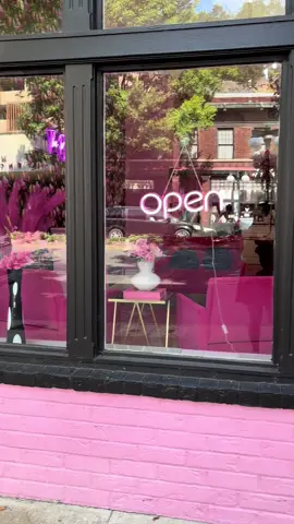 I came across the absolute cutest boutique! Everything pink 🩷🩷🩷 @The Pynk Byrd Boutique #thepynkbyrd #pynkbyrdhotsprings 