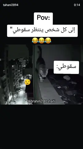 إلى كل شخص ينتظر سقوطي🖕🕺🕺#اكسبلور #ترند #تصميم_فيديوهات🎶🎤🎬 #شعب_الصيني_ماله_حل😂😂 #قطط_كيوت 