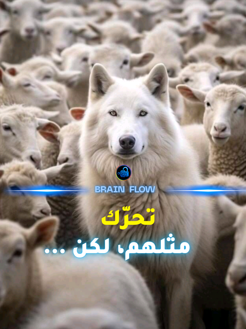معظم الناس لايدركون مدى تأتير مايشاهدونه في صفحاتهم علي طريقة تفكيرهم. 👇 كل منشور تراه يعيد برمجة دماغك، شيئًا فشيئًا. وإذا واصلت مشاهدة السلبية، والمقارنات، والمشتتات، فمسألة وقت فقط قبل أن يغيّر ذلك طريقة تفكيرك وتصرفاتك. نموّك لا يتعلّق فقط بما تفعله… بل بما تسمح له أن يدخل إلى عقلك. املأ صفحتك بأشخاص وأفكار وعادات تصقل عقلك وتدفعك إلى الأمام. محتوانا يركز على تطوير الذات وتنمية العقل والوعي، ويكشف أسرار العقل من منظور علمي، نفسي، واجتماعي. نقدّم نصائح عملية لتحسين التركيز، والتحكم في الانتباه، وزيادة الإنتاجية. نشارك أفكارًا تحفيزية، وتمارين ذهنية، وحلولًا عملية تساعدك على التغلب على التشتت الذهني، وبناء عقل أقوى وأكثر وضوحًا. كل فيديو نصنعه يهدف إلى إلهامك، ودفعك للنمو الشخصي، وتحفيزك على اتخاذ خطوات حقيقية نحو حياة أفضل وأكثر سيطرة. _________Hashtag_________ #طور_عقلكbrainflow #طور_نفسك #تطوير_الذات #التركيز #قوة_العقل 