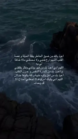 #اكسبلور 