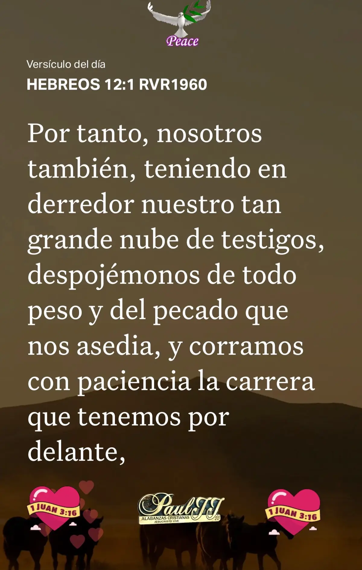 HEBREOS 12:1 RVR1960 #versiculodeldia #labibliaapp#fuegodelespiritusanto#jesus #amor