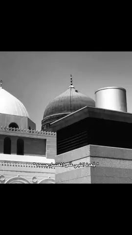 وعَليه نگلبت الأمة … #fypツ #استشهاد_النبي_الأعظم #الامام_الحسين_عليه_السلام #الامام_العباس_عليه_السلام #جديده_في_تيك_توك 