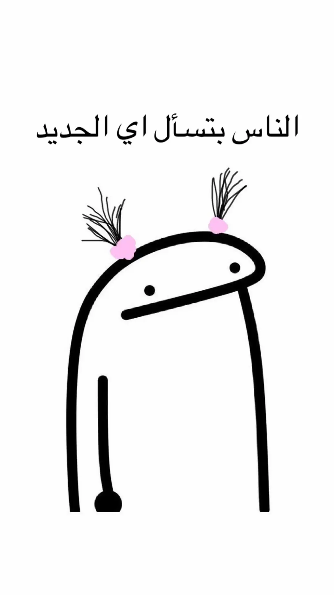للتواصل 01551529278❤️❤️#creatorsearchinsights #شنط #هاند_ميد #اغاني_بدون_موسيقى 