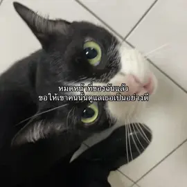#ฟีดดดシ #อกหัก 