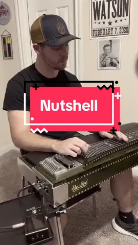 Alice In Chains “Nutshell” 💔#steelguitar #seattle #rock #countrymusic