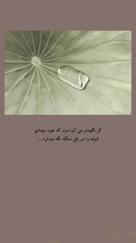 #creatorsearchinsights #100millionviews #سعوديه #foryou #afghanistan #M 