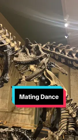 My favorite scene from Prehistoric Planet #paleontology #dinosaur #carnotaurus #Science #museum 