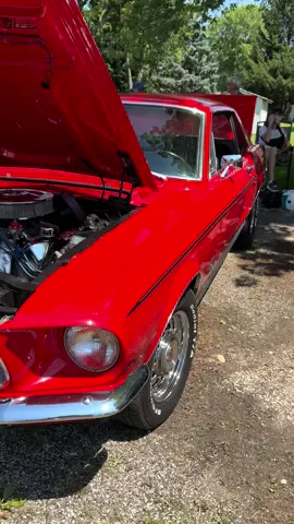#ford #mustang #cars #carsoftiktok #carshow 