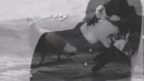 ركزلي علحقوق🤣#رقه #فرح #ناي #fypシ゚ 