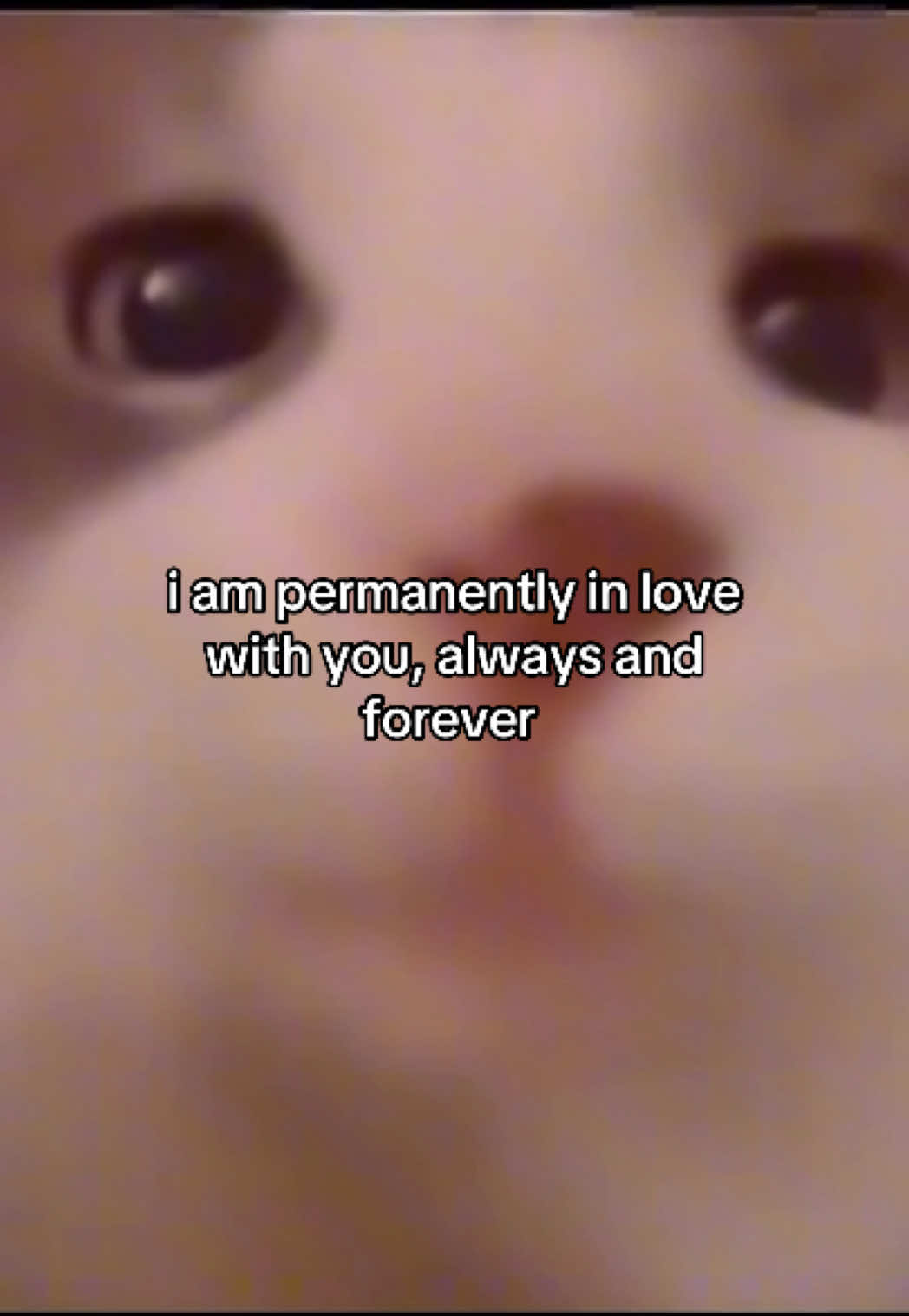 #catsoftiktok #catmeme #relationshipmemes #relatable #couplecomedy 