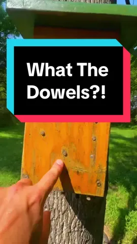 Replying to @commonw21 WHAT THE DOWEL?! 😭 This might be one of the best decoys I’ve ever seen on a Geocache! I spent 15 minutes trying to make sense of these dowels before I realized what I needed to do! 