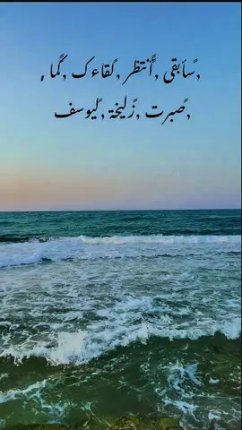 : ,ًسأبقى أنتظر لقاءك كما ,ًصبرت زليخة ,ًليوسف 💔. . . . . . #تصويري #fypシ゚ #foryou #اجواء_خيالية #اكسبلور 