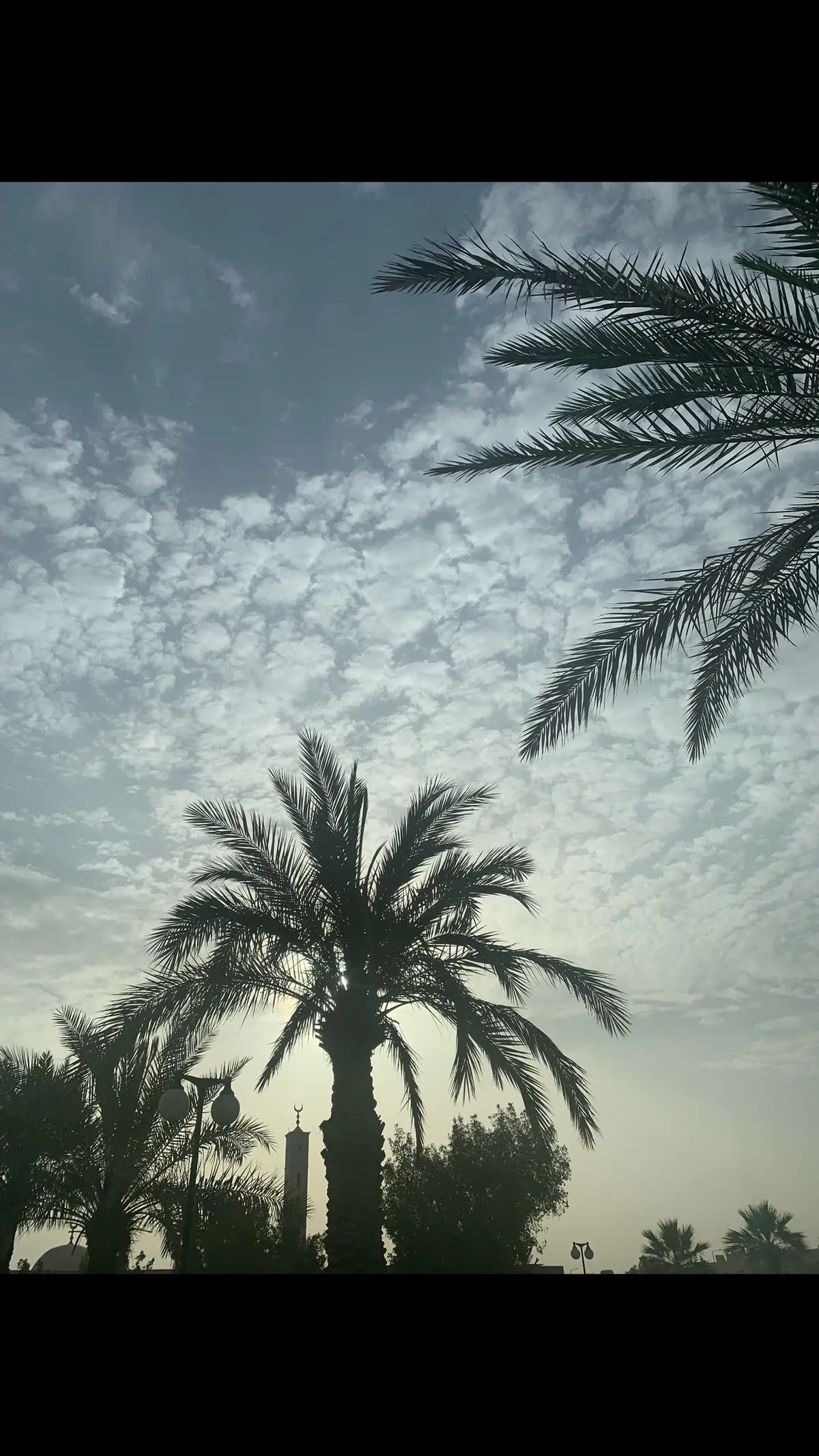 #creatorsearchinsights #القارئ #سعود #الفايز 