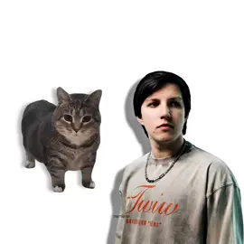 MZLFF - PHANTASMAGORIA, but it's Oiiai Cat Remix (uiiai) #mashup #remix #cat #mzlff #phantasmagoria @mzlff 