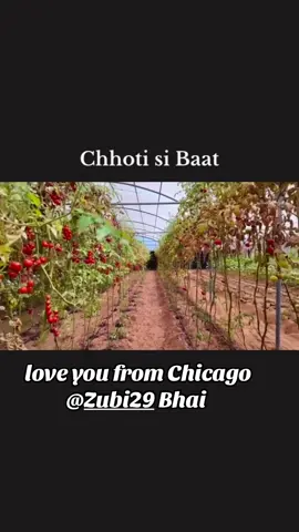 #stitch with @Zubi29 #onthisday #Viral #foryou #foryoupage @Princess👸🏻👸🏻👸🏻 @Khurram 