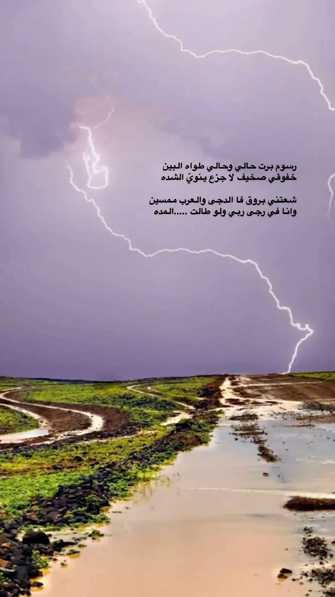 #تصويري_احترافي_الاجواء 